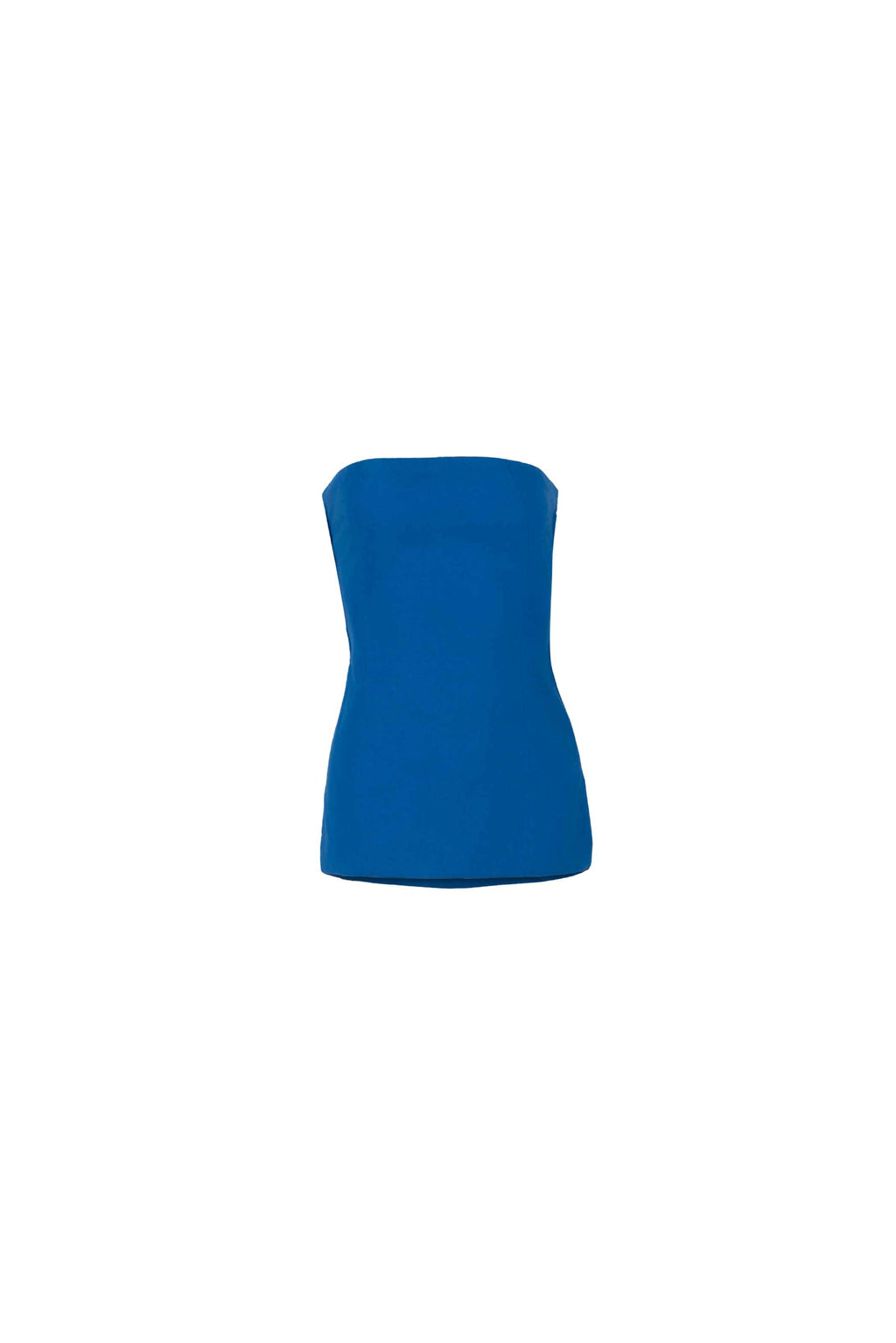 Continuum Strapless Extended Bodice Top - Anasua 