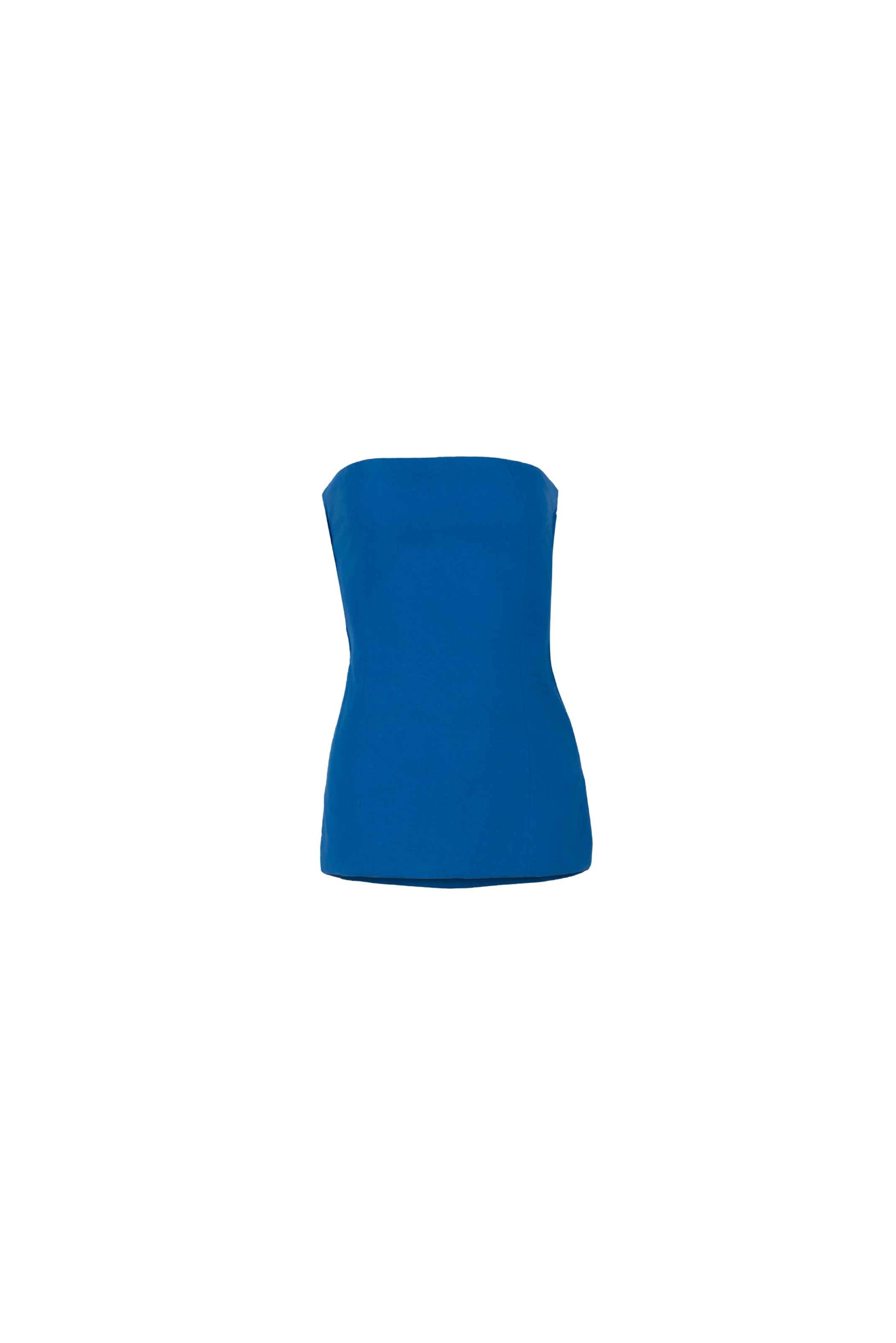 Continuum Strapless Extended Bodice Top - Anasua 